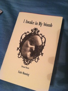 I Awake in My Womb cover