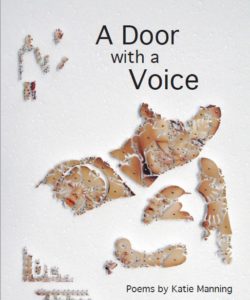 A Door with a Voice - Cover